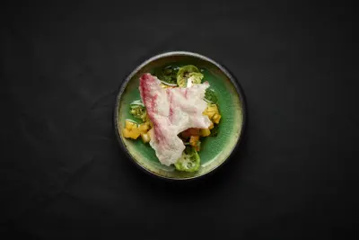 A plate with a vegetarian dish