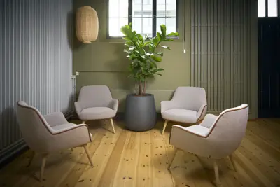 Loungestemning med stole, planter og gardiner