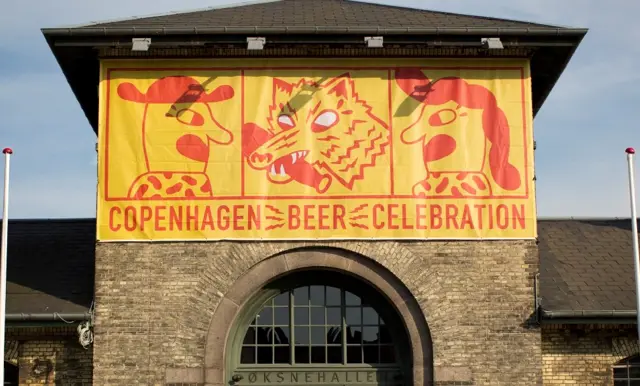 En ulv der drikker en øl