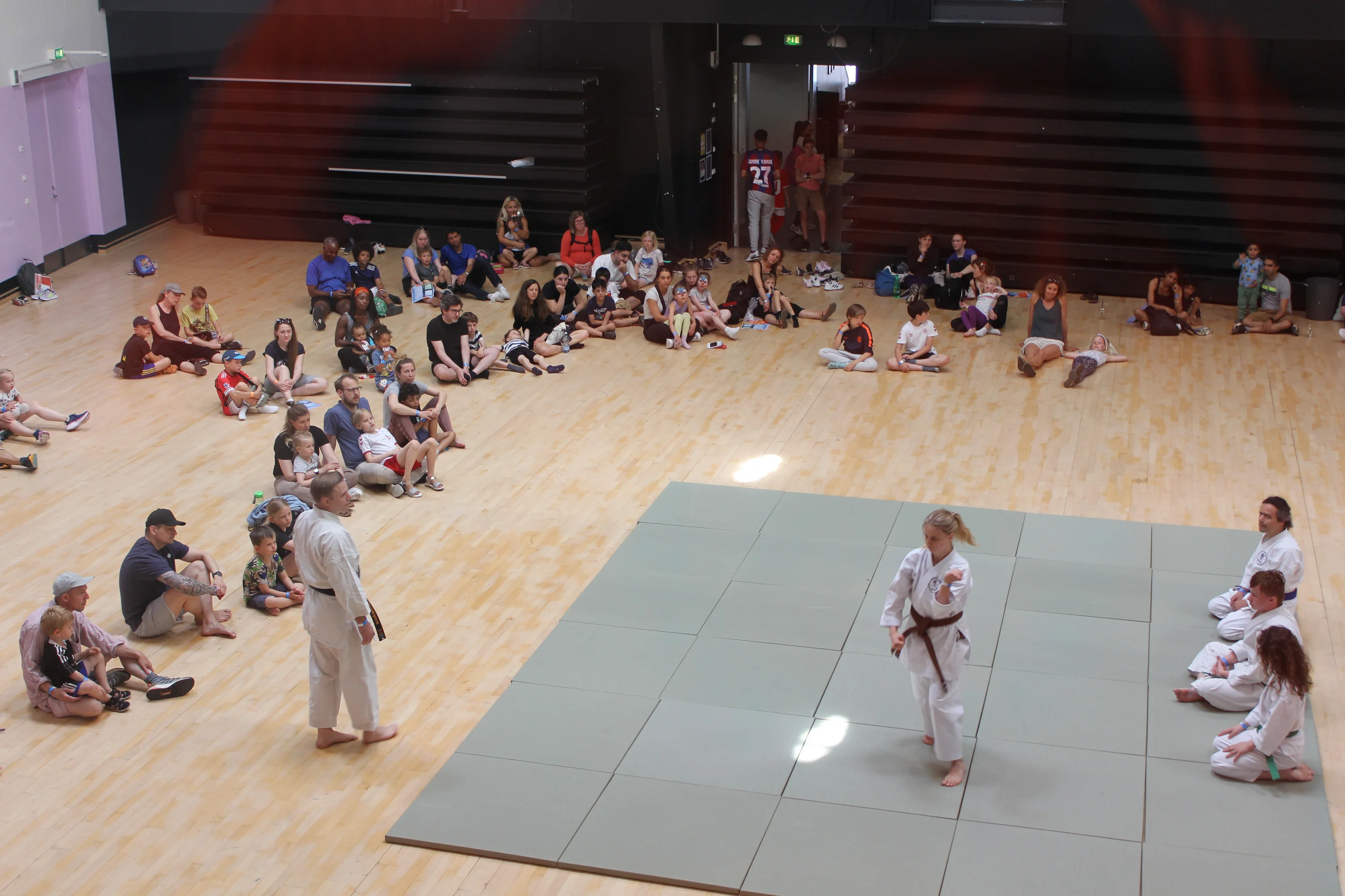 Taido Dojo
