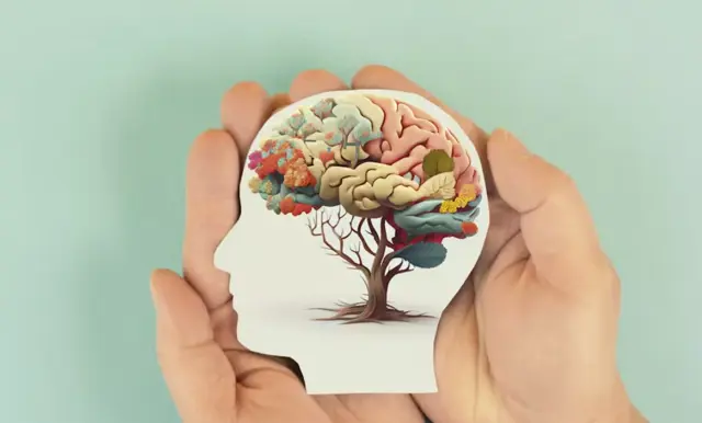 Foredrag om vaner og hjernen