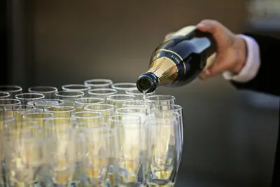 opskænkning af vin