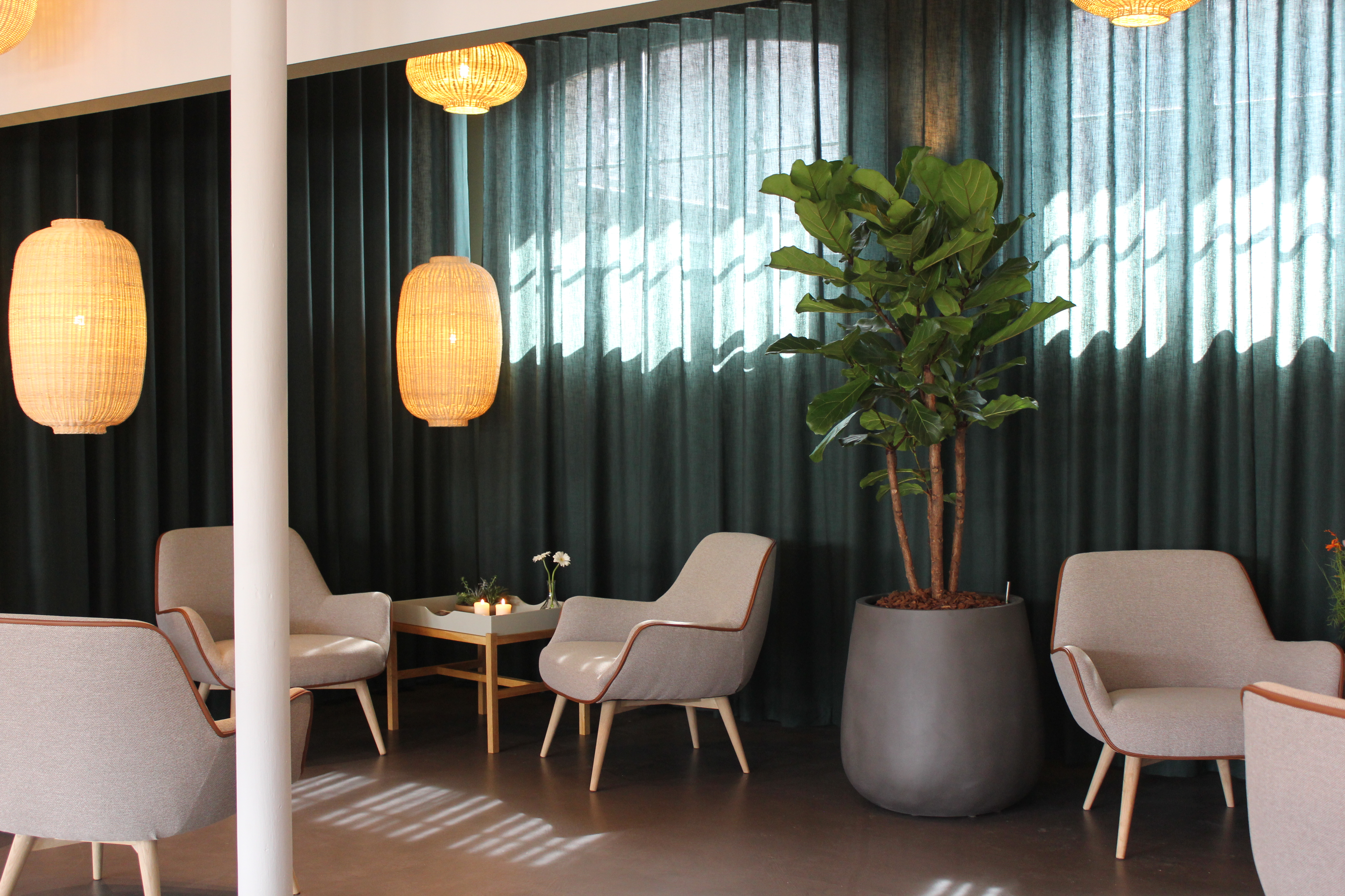 Loungestemning med et bord, stole, planter og gardiner 