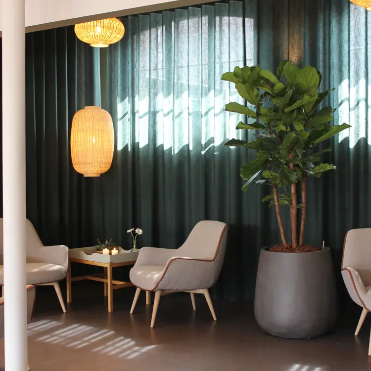 Loungestemning med et bord, stole, planter og gardiner