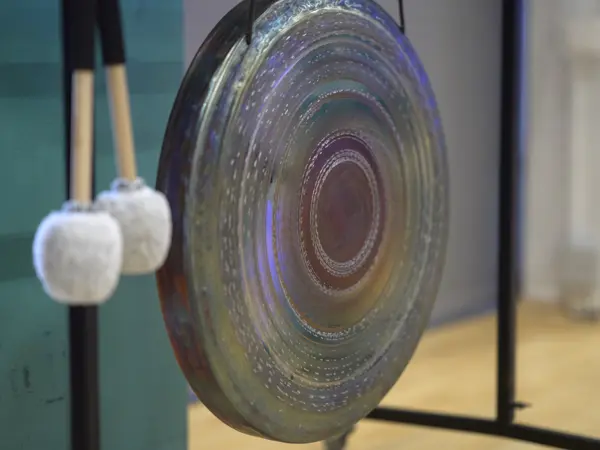 CPH Yoga Day 20241027 054.jpg