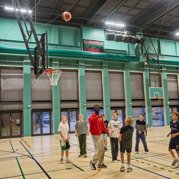Mini sports